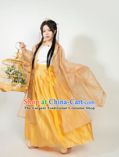 Ancient Chinese Song Dynasty Princess Hanfu Dress Nobility Lady Embroidered Historical Costumes for Women