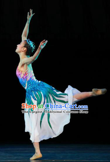 Chinese Female Embroider Classical Dance Dress Stage Performance Costume and Headpiece for Women