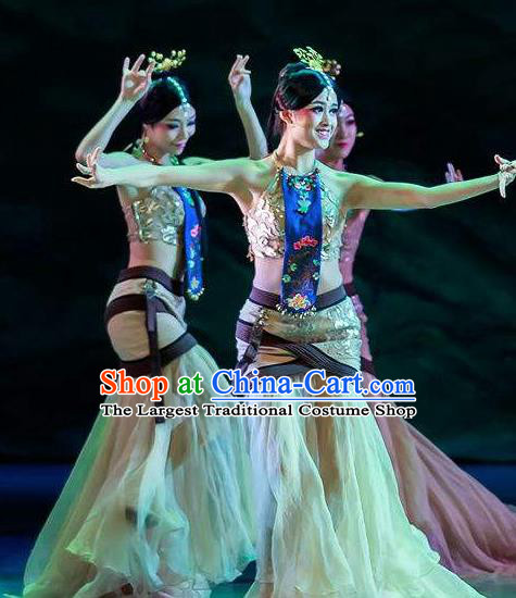 Chinese Lady Zhaojun Court Classical Dance Dress Stage Performance Dance Costume and Headpiece for Women