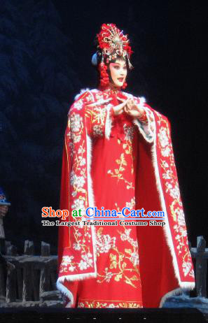 Su Wu In Desert Chinese Peking Opera Imperial Consort Red Dress Stage Performance Dance Costume and Headpiece for Women