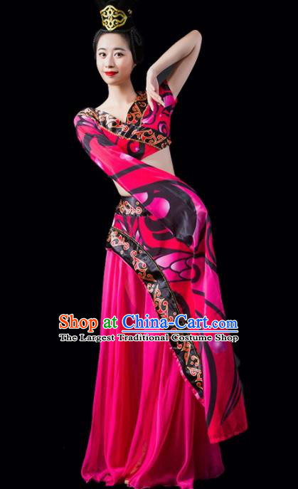 Chinese Traditional Classical Dance Costume Peri Dance Water Sleeve Rosy Dress for Women