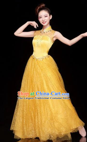 Chinese Traditional Chorus Yellow Veil Dress Opening Dance Modern Dance Costume for Women