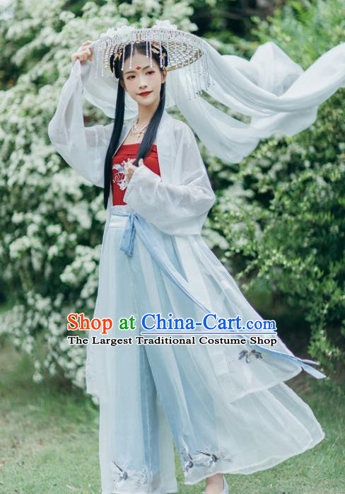 Chinese Traditional Young Lady Embroidered Hanfu Dress Song Dynasty Historical Costume for Women