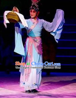 Traditional Chinese Classical Dance Bai Gujing Costume Journey to the West Dance Dress for Women