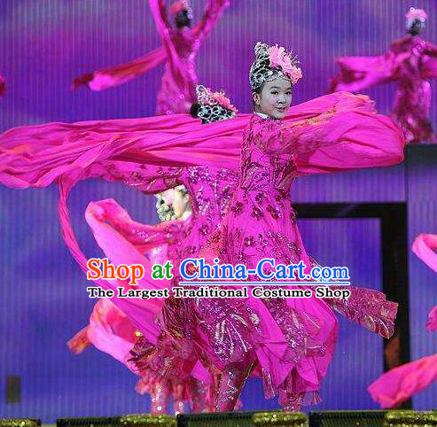 Dance of the Butterfly Traditional Chinese Classical Dance Costume Rosy Water Sleeve Dance Dress for Women