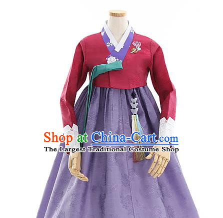 Korean Bride Mother Wine Red Blouse and Purple Dress Korea Fashion Costumes Traditional Hanbok Festival Apparels for Women