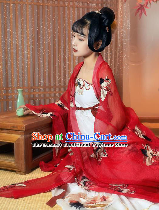 China Ancient Palace Princess Historical Clothing Traditional Tang Dynasty Court Lady Embroidered Hanfu Dress