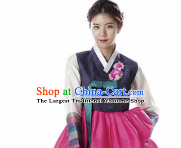 Korean Traditional Bride Hanbok Navy Blouse and Rosy Dress Garment Asian Korea Fashion Costume for Women