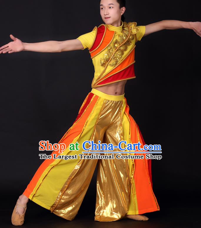 Chinese Traditional Male Dance Golden Clothing China Folk Dance Stage Performance Costume for Men