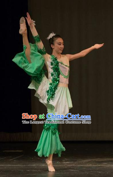 Chinese Traditional Folk Dance Liu Yue Mo Li Green Dress Classical Dance Stage Performance Costume for Women