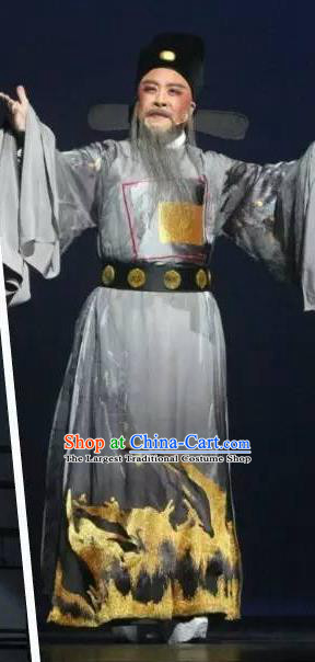 Chinese Yue Opera Old Man Official Garment and Hat Shaoxing Opera Laosheng Qing Teng Kuang Ge Elderly Male Hu Zongxian Apparels Costumes