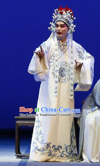 Chinese Classical Kun Opera Scholar Young Man Garment and Hat The Purple Hairpin Peking Opera Xiao Sheng Li Yi Robe Costumes