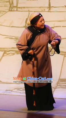 Chinese Shaoxing Opera Old Dame Garment Costumes and Headdress Mistress Xiang Lin Yue Opera Elderly Female Apparels