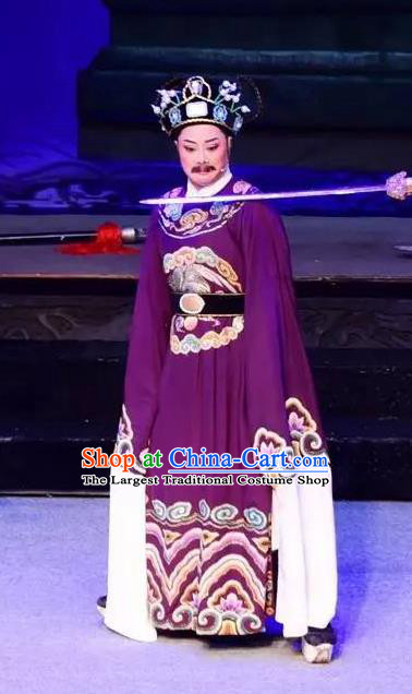 Mrs Dayi Chinese Yue Opera Treacherous Official Qin Hui Garment Costumes and Headwear Shaoxing Opera Laosheng Elderly Male Apparels