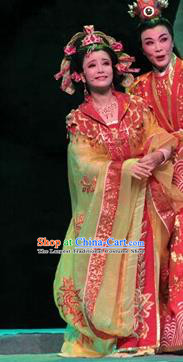 Chinese Shaoxing Opera Royal Princess Rong Hua Dream Dress Apparels Costumes and Headpieces Yue Opera Actress Garment