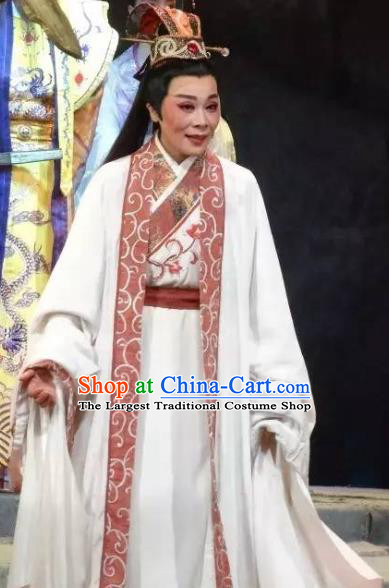 Chinese Yue Opera Xiaosheng Dong Wenbo Garment Clothing and Headwear Rong Hua Dream Shaoxing Opera Young Male Apparels Costumes