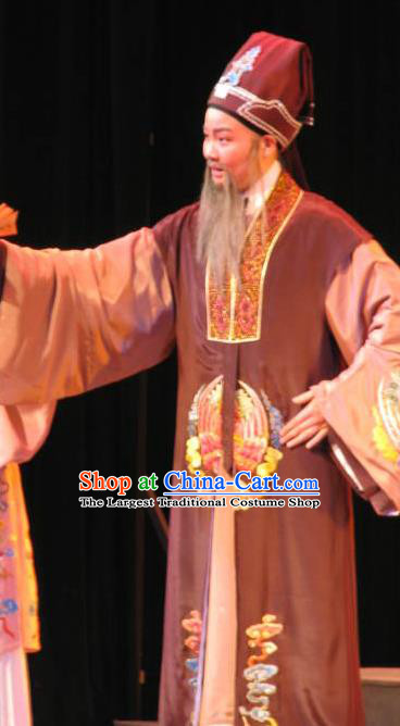 Three Charming Smiles Chinese Yue Opera Laosheng Garment Clothing and Headwear Shaoxing Opera Elderly Male Imperial Tutor Hua Apparels Costumes