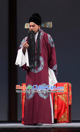 Dream of Red Mansions Chinese Kun Opera Laosheng Apparels Garment Costumes and Hat Kunqu Opera Elderly Male Jia Zheng Clothing