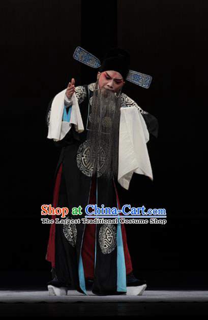 Dream of Red Mansions Chinese Kun Opera Elderly Male Jia Zheng Apparels Garment Costumes and Hat Kunqu Opera Laosheng Clothing