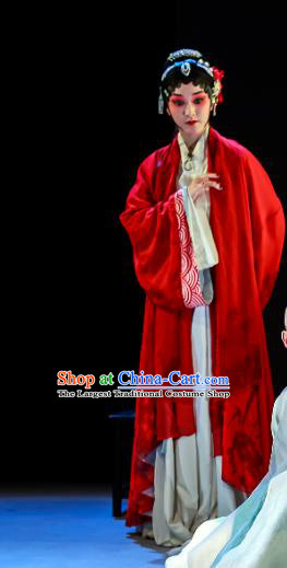 Chinese Kun Opera Hua Tan Red Apparels Costumes and Hair Accessories Si Sheng Yuan Kunqu Opera Actress Liu Cui Dress Garment