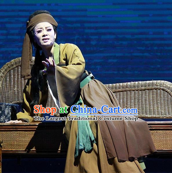 Chinese Huangmei Opera Elderly Woman Costumes Apparels and Headpieces Chuan Deng Traditional Anhui Opera Laodan Dress Garment