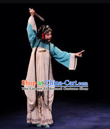 Chinese Kun Opera Young Lady Dress Costumes and Headdress The Prophetic Paintings Traditional Kunqu Opera Court Maid Fei Zhen E Garment Apparels