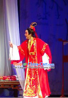 Chinese Shaoxing Opera Jiao Zhongqing Wedding Garment and Headwear Yue Opera The Peacocks Fly To The Southeast Bridegroom Apparels Costumes