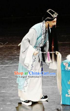 Chinese Huangmei Opera Taoist Lv Dongbin Costumes and Headwear Xi Mu Dan An Hui Opera Laosheng Apparels Elderly Male Clothing