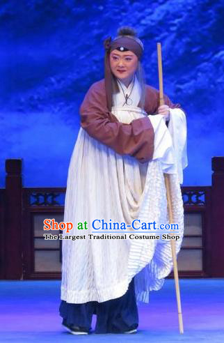 Chinese Ping Opera Old Woman Zhu Hen Ji Apparels Costumes and Headdress Traditional Pingju Opera Pantaloon Dress Elderly Female Garment