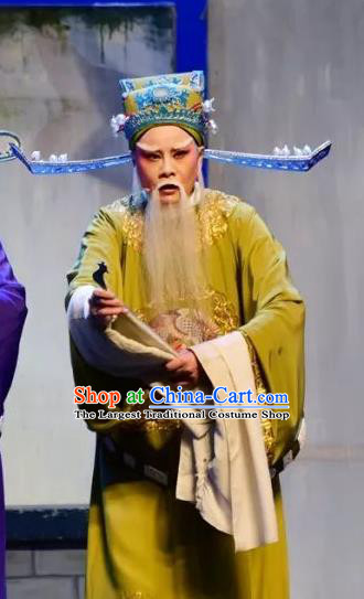 Chinese Yue Opera Elderly Male Minister Costumes and Hat Shaoxing Opera Yan Zhi Apparels Garment Official Shi Yushan Embroidered Robe Vestment