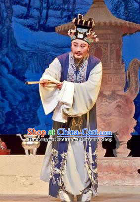 Chinese Yue Opera Old Male Costumes Flirting Scholar Garment Shaoxing Opera Man Role Imperial Tutor Hua Apparels and Headwear