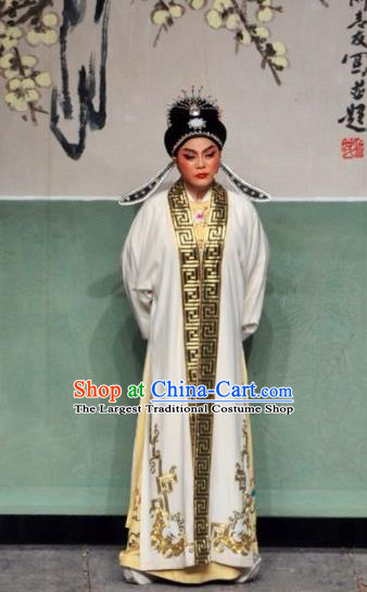 Chinese Yue Opera Official Robe Costumes and Headwear Xun An Zhan Fu Shaoxing Opera Xiaosheng Garment Scholar Xu Qing Apparels