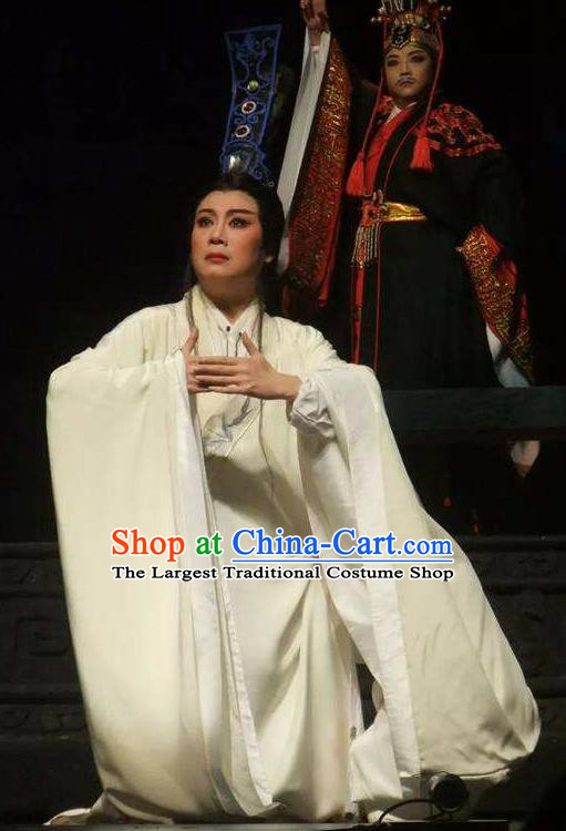 Chinese Yue Opera Official Han Feizi White Robe Young Male Costumes Clothing and Headwear Shaoxing Opera Xiaosheng Han Fei Garment Niche Apparels