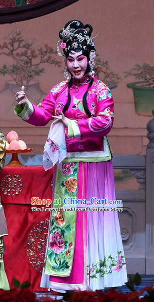 Chinese Beijing Opera Young Female Zhang Saizhu Apparels Costumes and Headdress Tell On Sargam Traditional Peking Opera Diva Rosy Dress Garment