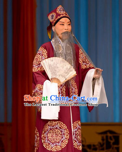 Zhu Sha Zhi Chinese Peking Opera Old Man Garment Costumes and Headwear Beijing Opera Laosheng Apparels Prefecture Han Tingfeng Clothing