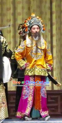 Qin Xianglian Chinese Ping Opera Bodyguard Garment Costumes and Headwear Pingju Opera Martial Male Apparels Clothing