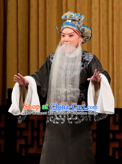 Xing Han Tu Chinese Peking Opera Laosheng Garment Costumes and Headwear Beijing Opera Old Man Apparels Official Zhang Cang Clothing