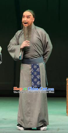 Inspector And Prince Chinese Peking Opera Civilian Male Garment Costumes and Headwear Beijing Opera Elderly Scholar Apparels Clothing