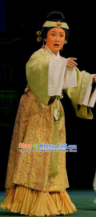 Chinese Beijing Opera Elderly Female Apparels Love of Guan Yin Costumes and Headdress Traditional Peking Opera Pantaloon Dress Laodan Garment