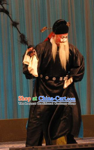 Fish and Algae Palace Chinese Peking Opera Old Official Garment Costumes and Headwear Beijing Opera Elderly Male Apparels Clothing