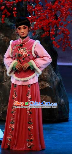 Chinese Beijing Opera Rich Lady Garment Luo Mei Yin Costumes and Hair Accessories Traditional Peking Opera Xiaodan Qin Dress Young Beauty Apparels