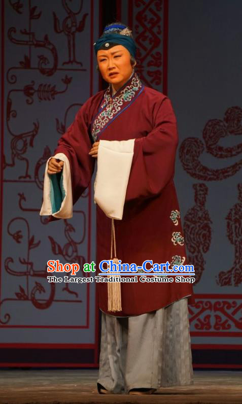 Chinese Beijing Opera Dame Garment Legend of Xu Mu Costumes and Hair Accessories Traditional Peking Opera Laodan Dress Pantaloon Apparels