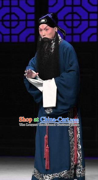 Xiang Lian Case Chinese Peking Opera Laosheng Apparels Costumes and Headpieces Beijing Opera Scholar Garment Elderly Male Chen Shimei Clothing