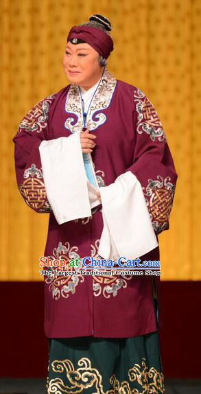 Chinese Beijing Opera Laodan Garment Snow in June Costumes and Hair Accessories Traditional Peking Opera Pantaloon Dress Dame Apparels