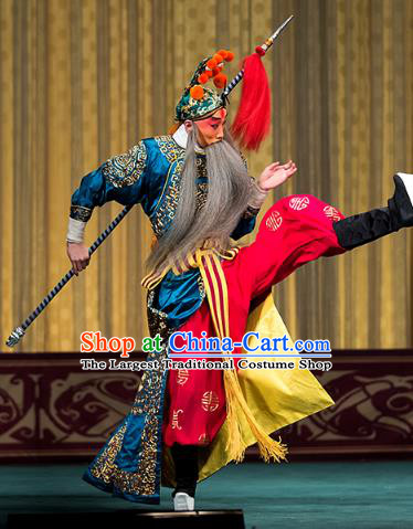 Four Heroes Village Chinese Peking Opera Swordsman Luo Hongxun Apparels Costumes and Headpieces Beijing Opera Martial Male Garment Wusheng Blue Clothing