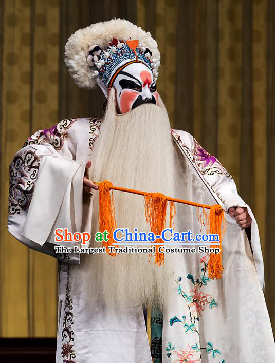 Four Heroes Village Chinese Peking Opera Martial Male Apparels Costumes and Headpieces Beijing Opera Jing Role Garment Swordsman Clothing