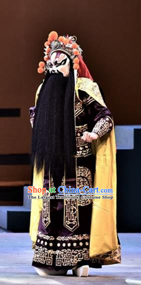 Ming City Wall Chinese Peking Opera Wusheng Xu Shicheng Apparels Costumes and Headpieces Beijing Opera Martial Male Garment Swordsman Clothing