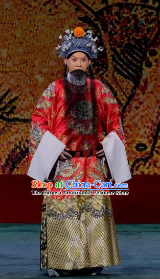 Ding Sheng Chun Qiu Chinese Peking Opera Laosheng Apparels Costumes and Headpieces Beijing Opera Elderly Male Garment King Clothing