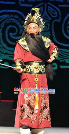 Chang Le Wei Yang Chinese Peking Opera General Chen Xi Apparels Costumes and Headpieces Beijing Opera Martial Male Garment Military Official Clothing