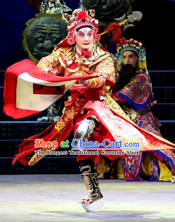 The Tiger Generals Chinese Peking Opera General Li Cunxiao Apparels Costumes and Headpieces Beijing Opera Martial Male Garment Wusheng Clothing